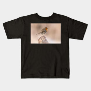 Robin perch Kids T-Shirt